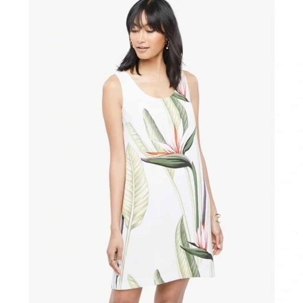 Ann Taylor Tropical Tank Shift Short Above Knee White Green Dress Size‎ 4